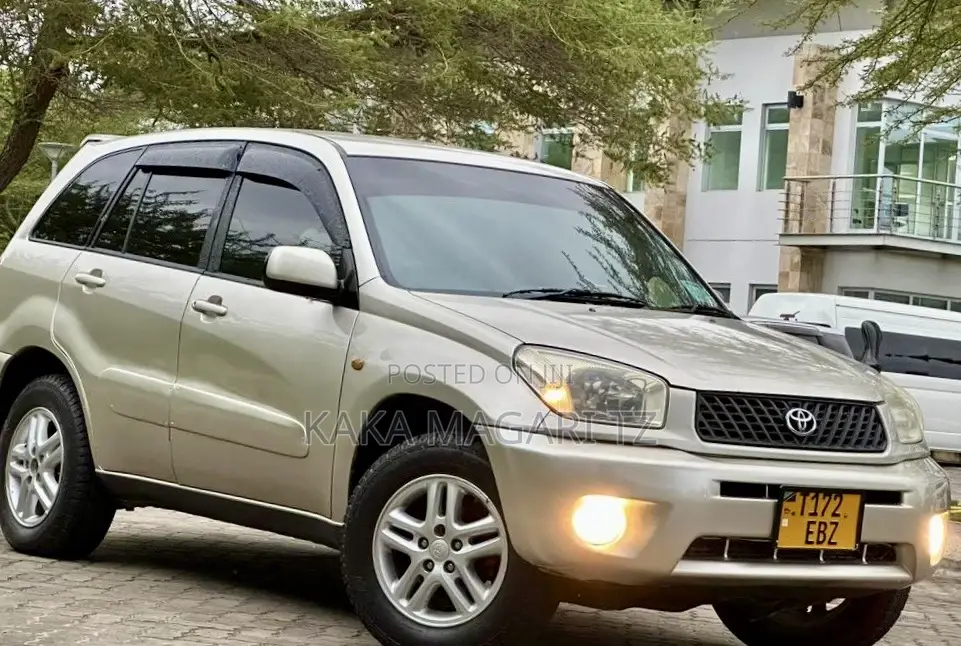 Toyota RAV4 2005 Gold