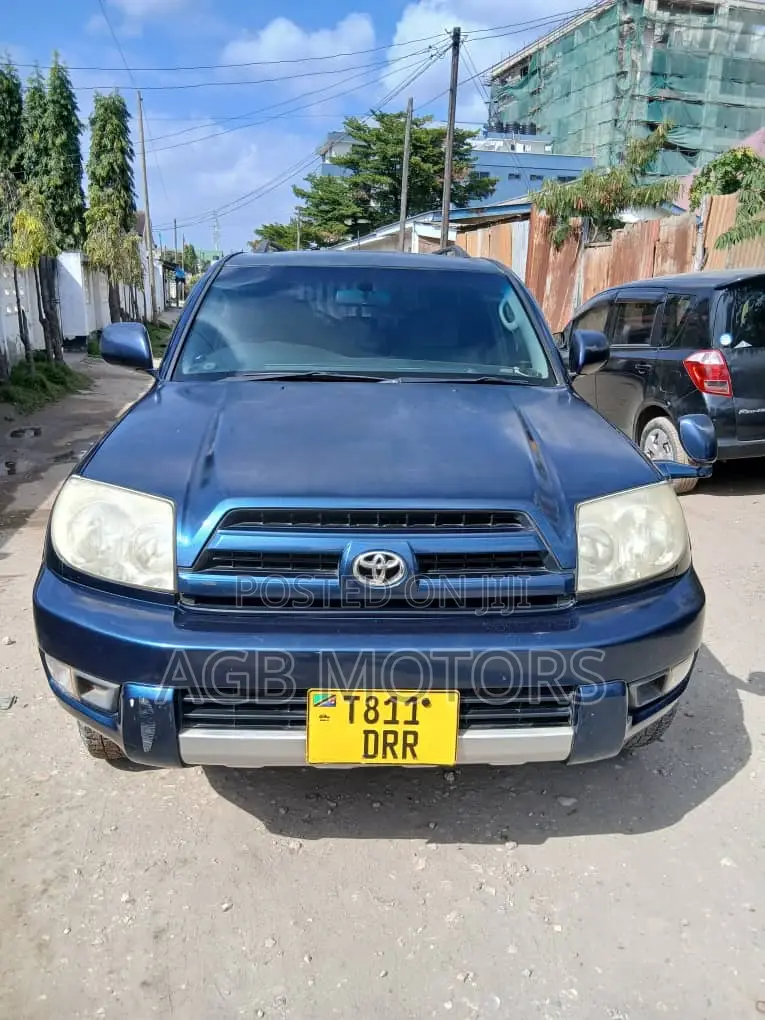 Toyota Hilux Surf 2005 Blue