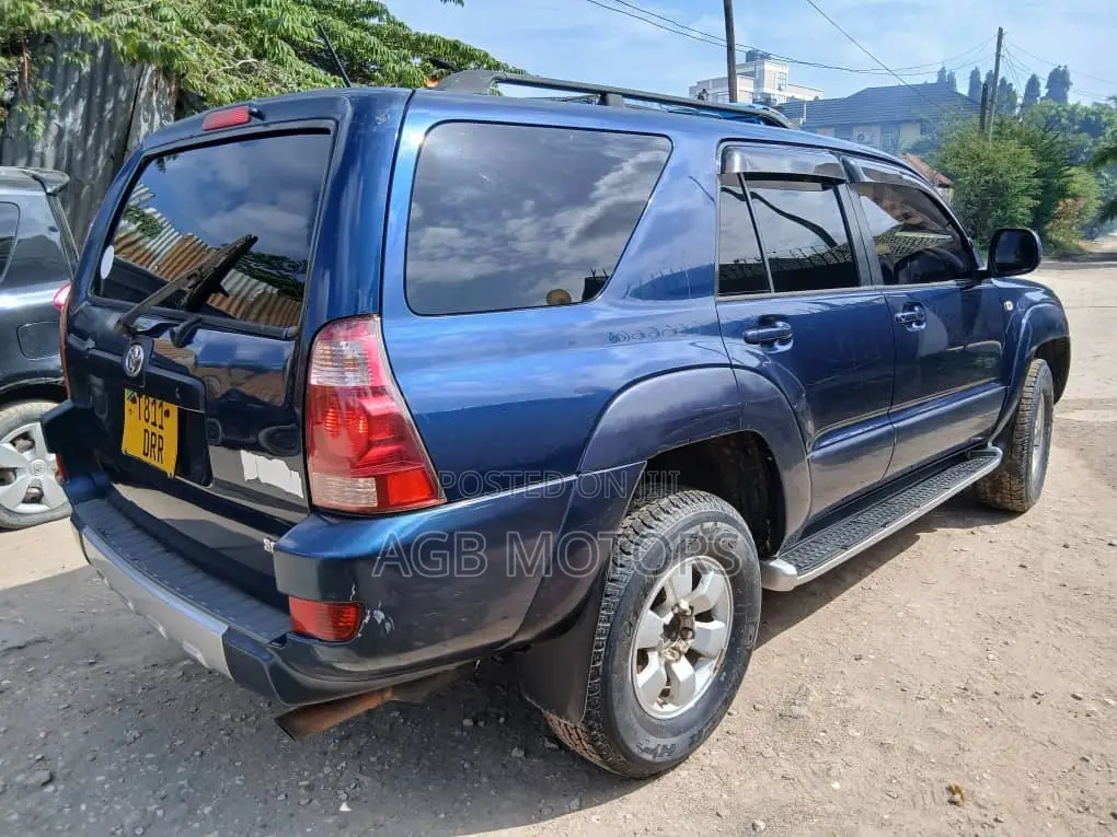 Toyota Hilux Surf 2005 Blue