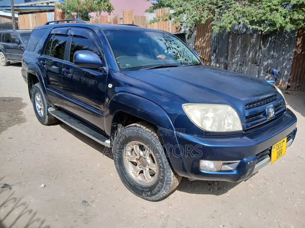 Toyota Hilux Surf 2005 Blue