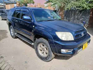 Toyota Hilux Surf 2005 Blue