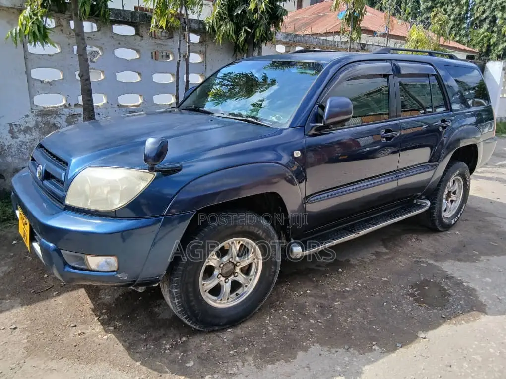 Toyota Hilux Surf 2005 Blue