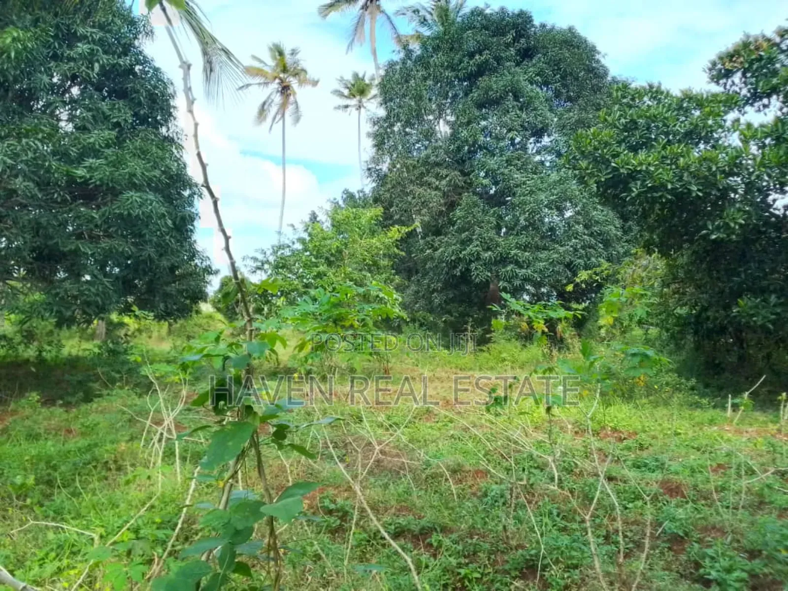 Land Farm for Sale at Zanzibar