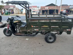 Bajaj Avenger 200 2024 Green