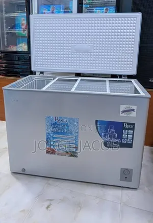 Rochchest Freezer 308l