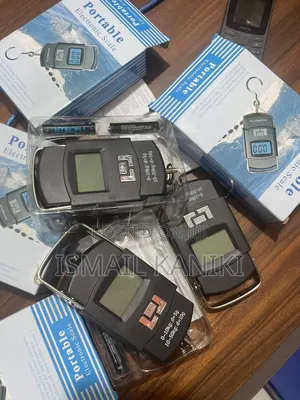 Digital Crane Scales