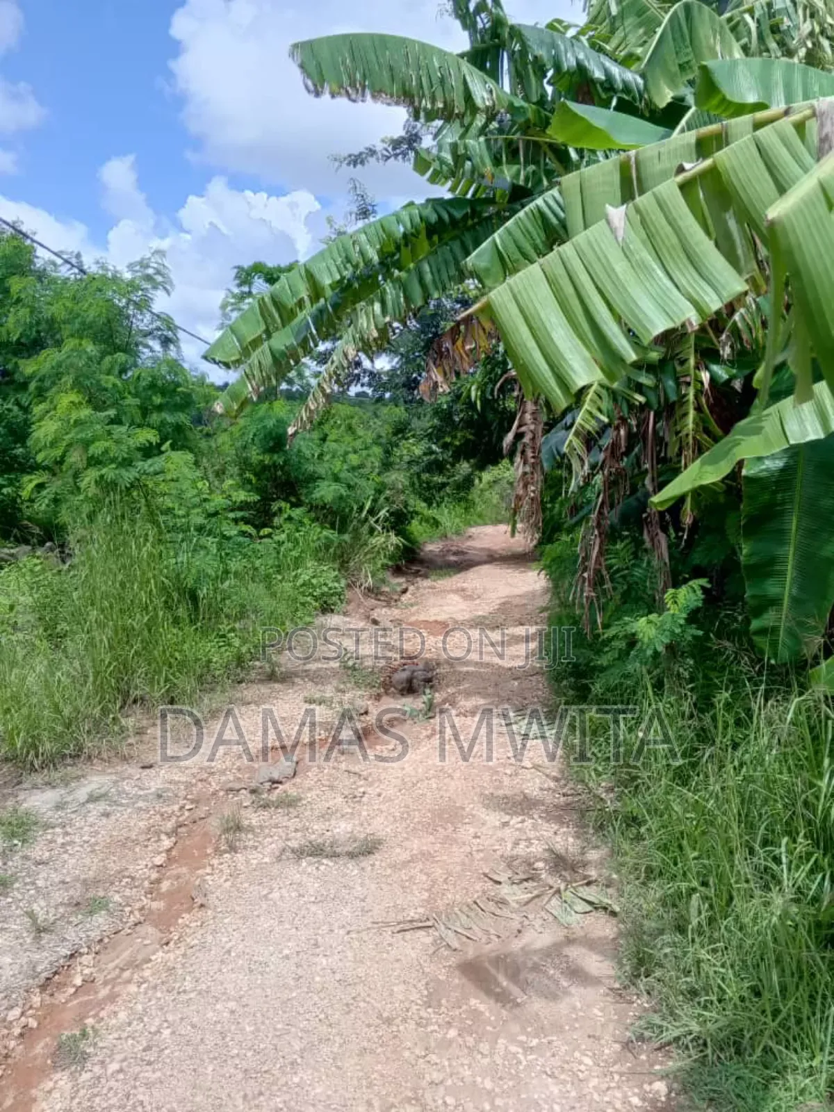 Industrial Land for Sale