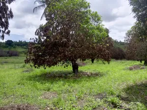 Industrial Land for Sale