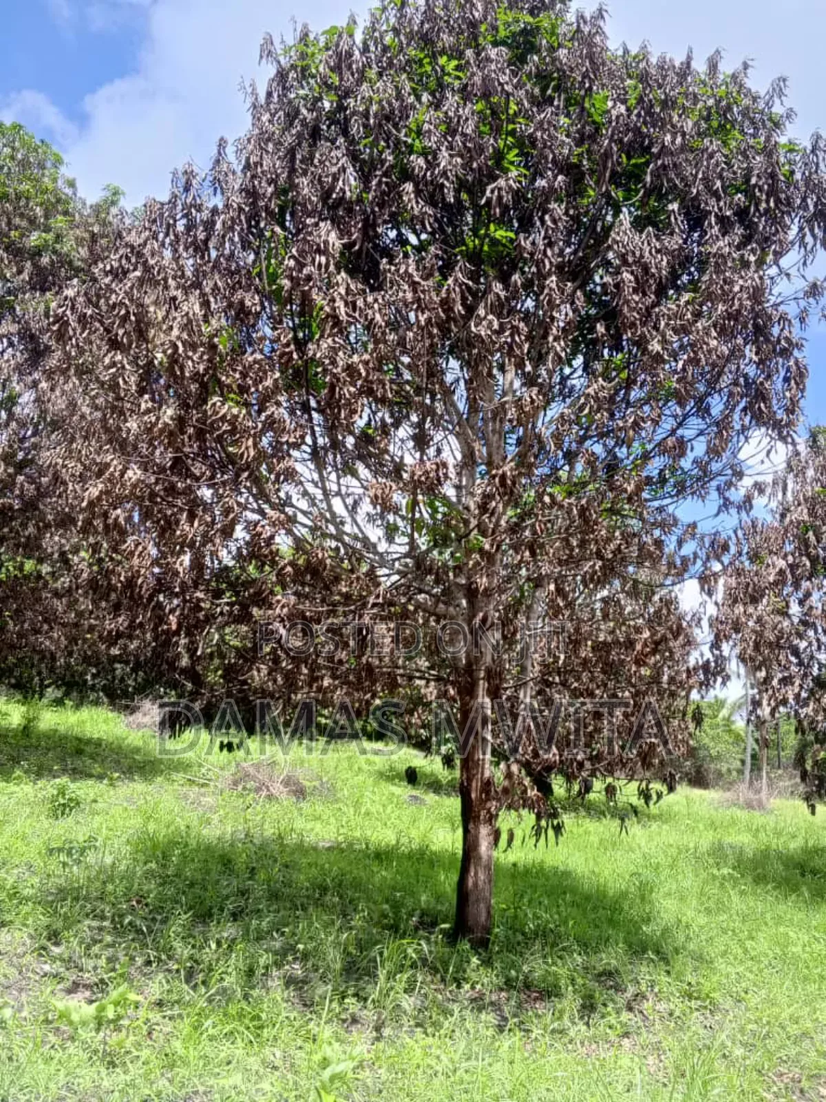 Industrial Land for Sale