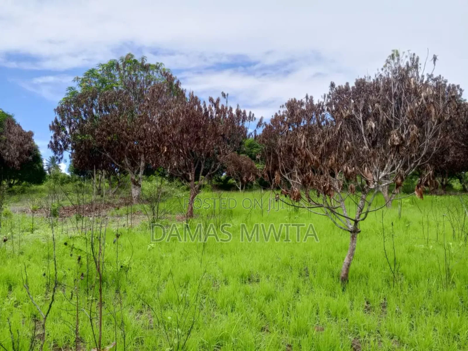 Industrial Land for Sale
