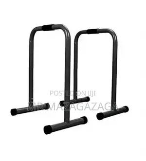 Dip Station Bars