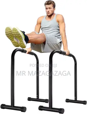 Dip Station Bars