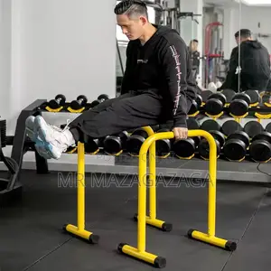 Dip Station Bars