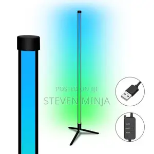 Floor Corner Lamp