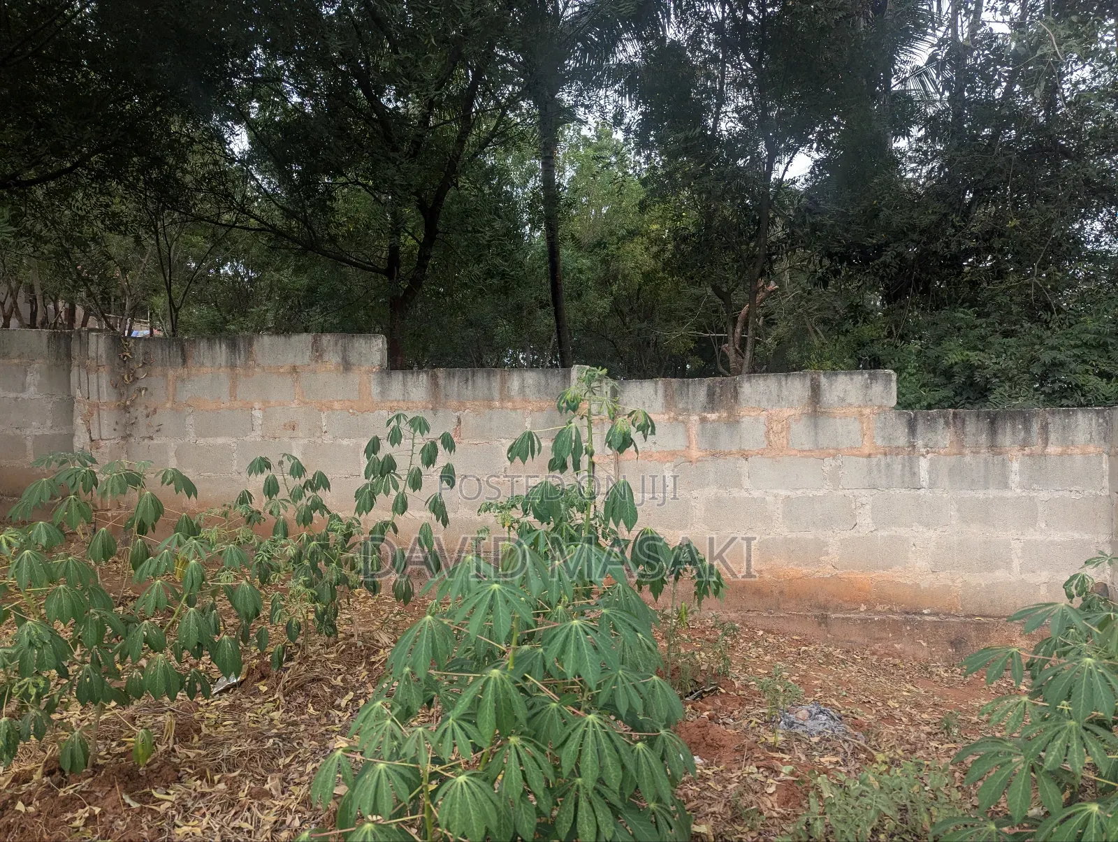 2 Acre Plot for Long Term Rent in Salasala Tegeta Iptl Road