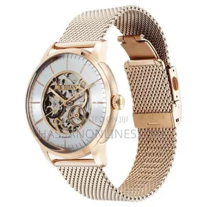 Titan Skeletal Automatic Gold Dial Gold Watch