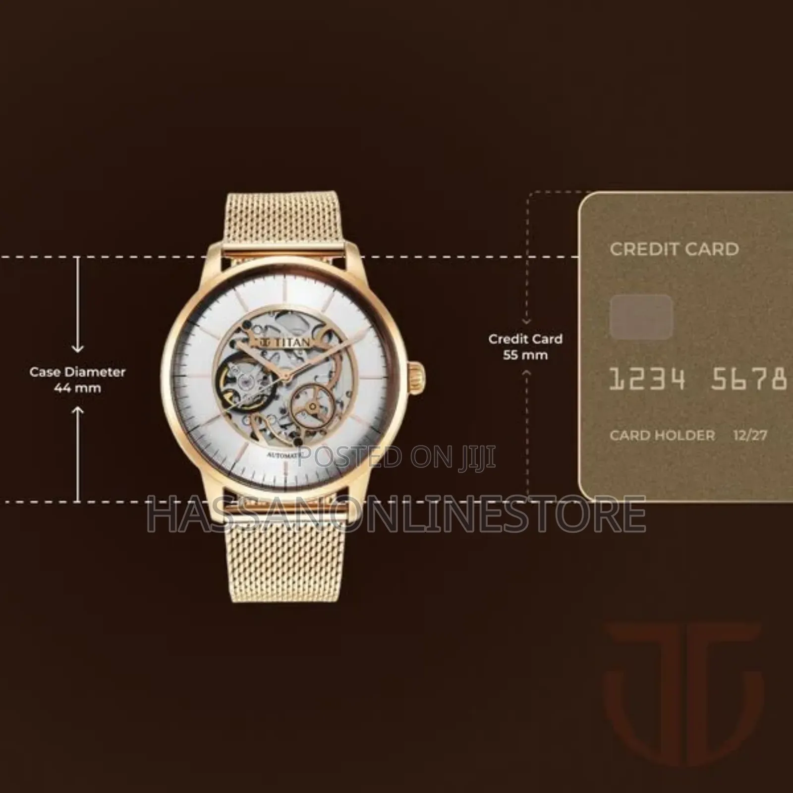 Titan Skeletal Automatic Gold Dial Gold Watch