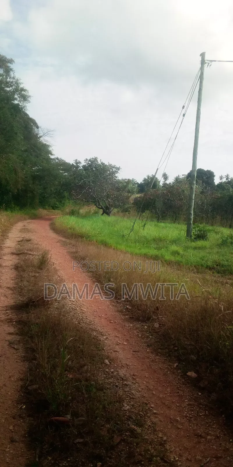 Industrial Land for Sale