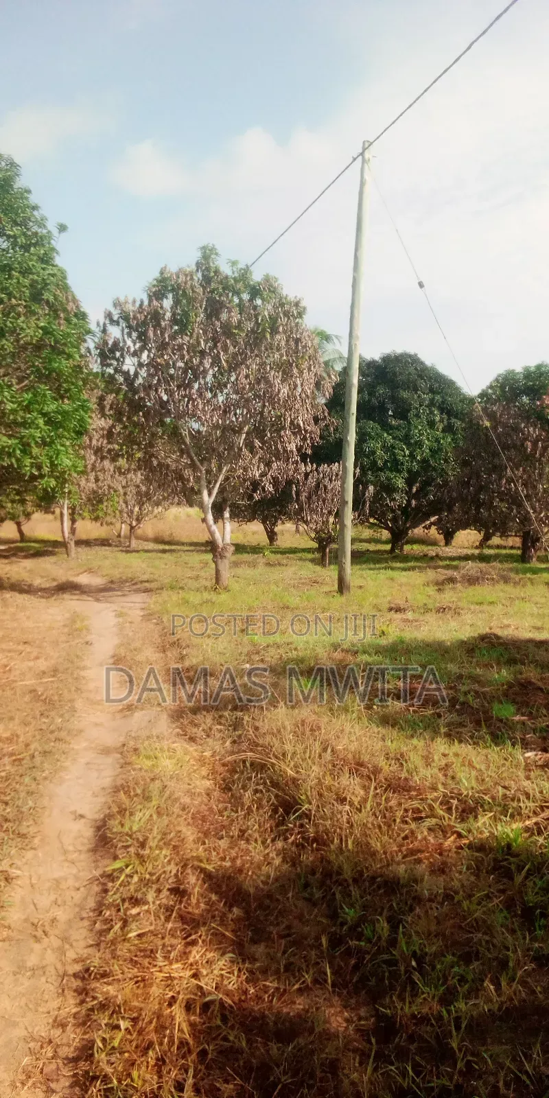 Industrial Land for Sale