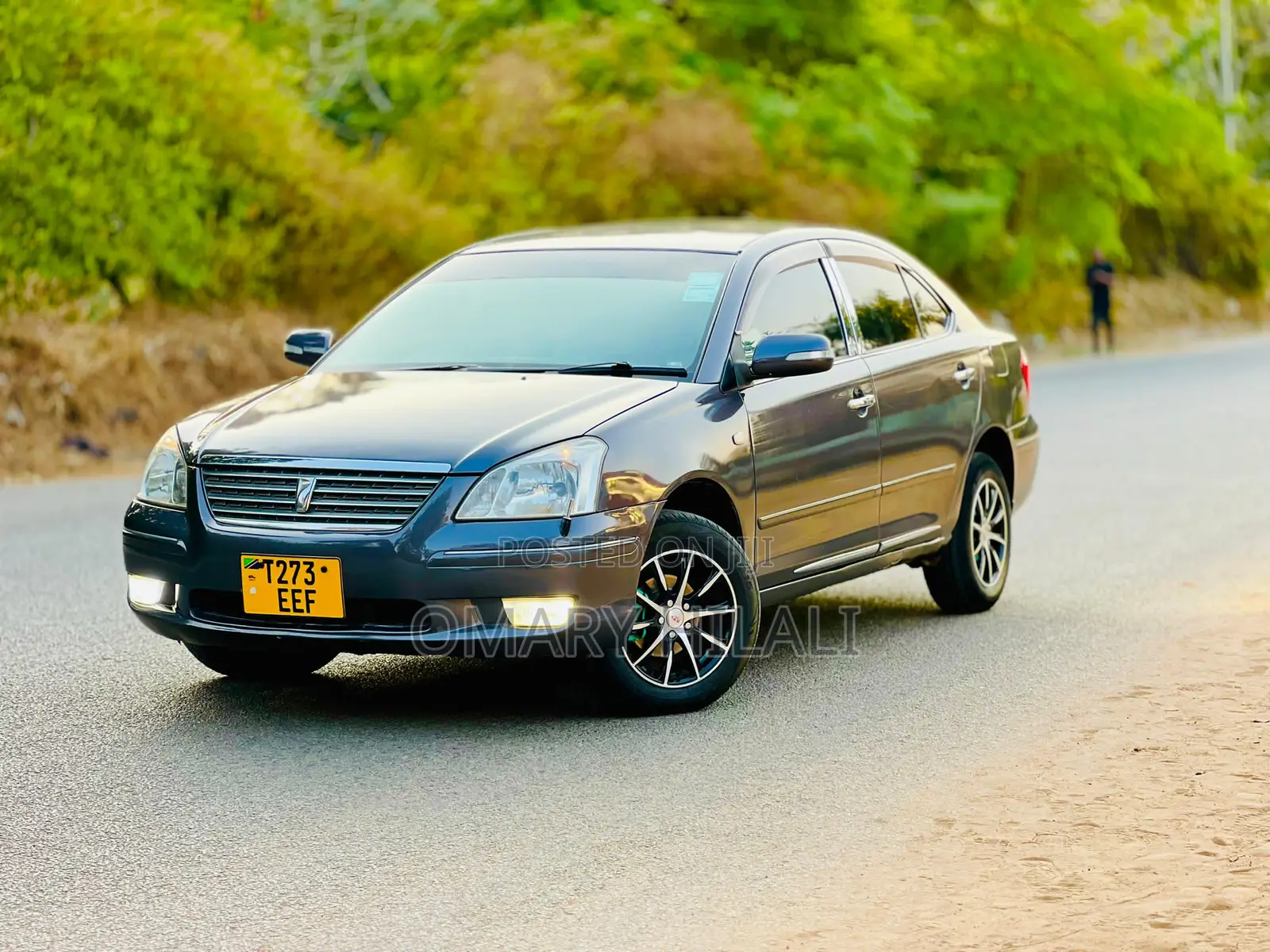 Toyota Premio 2003 Gray