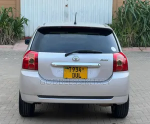 Toyota Allex 2007 Silver