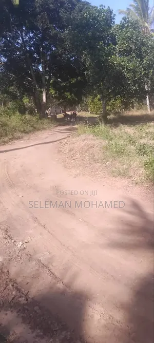 Shamba Zuri Mnoo Linauzwa Tambani Secondary.