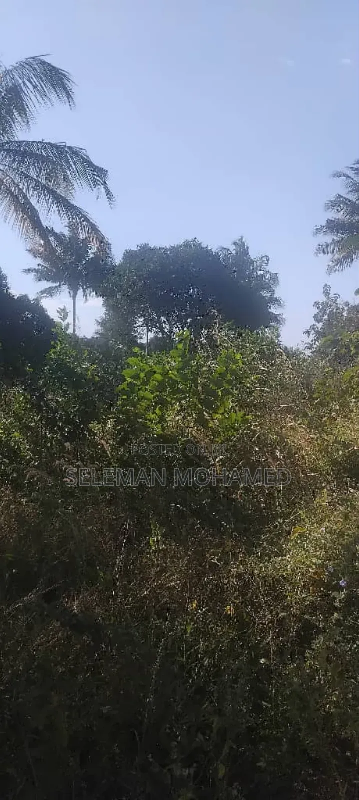 Shamba Zuri Mnoo Linauzwa Tambani Secondary.
