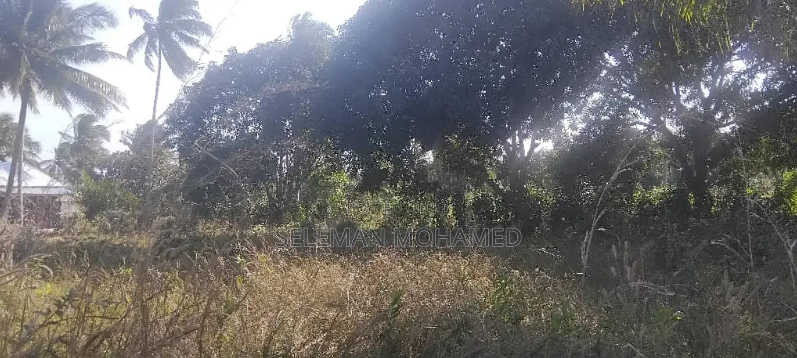 Shamba Zuri Mnoo Linauzwa Tambani Secondary.