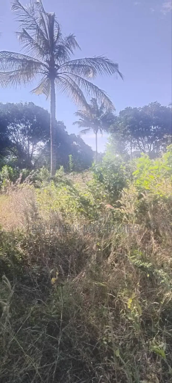 Shamba Zuri Mnoo Linauzwa Tambani Secondary.