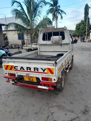 Suzuki Carry Registered No D for Sale