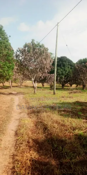 Industrial for Sale Mkuranga