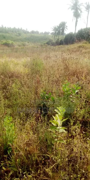 Industrial for Sale Mkuranga