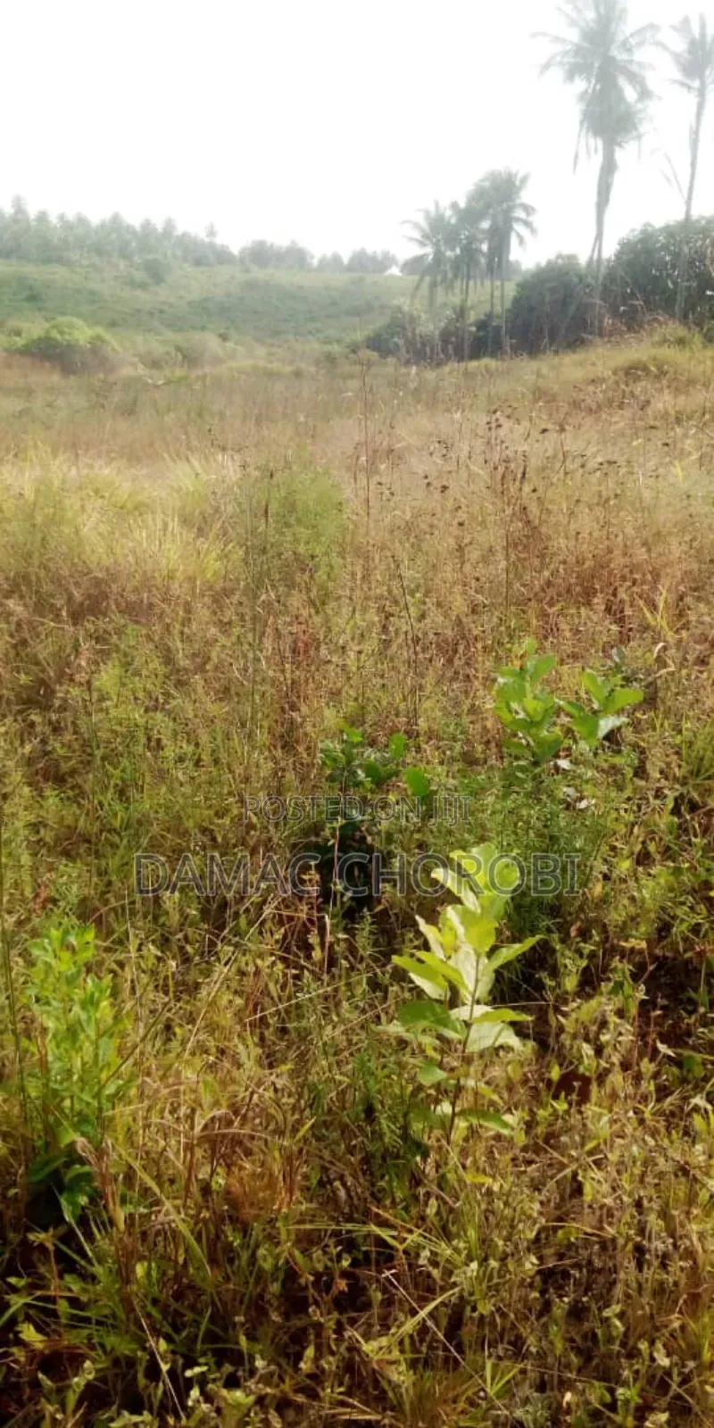 Industrial for Sale Mkuranga