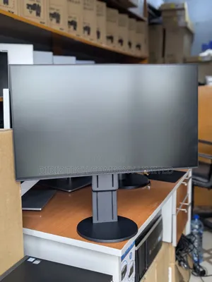 Eizo 24 Frameless Monitor