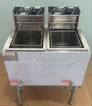 Electric Deep Fryer 14l vs 14l Double
