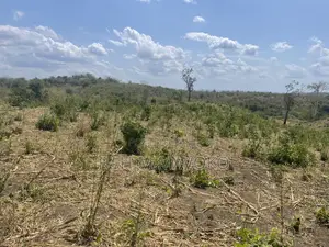 Shamba Linauzwa Kiwangwa Bago Eka 70