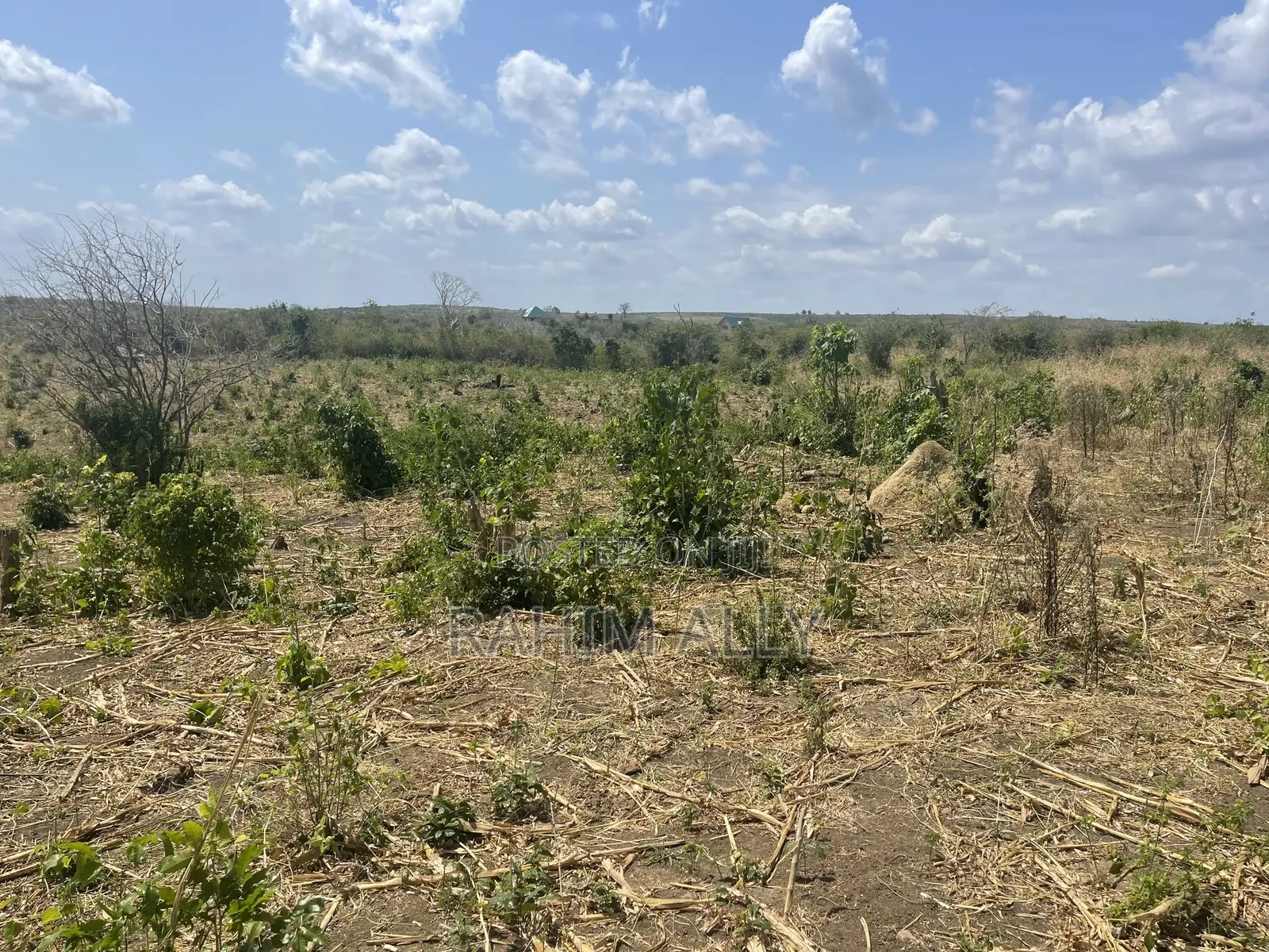 Shamba Linauzwa Kiwangwa Bago Eka 70