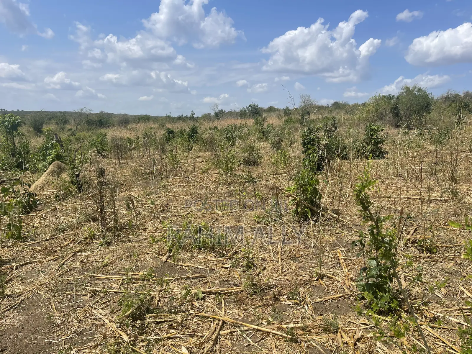 Shamba Linauzwa Kiwangwa Bago Eka 70