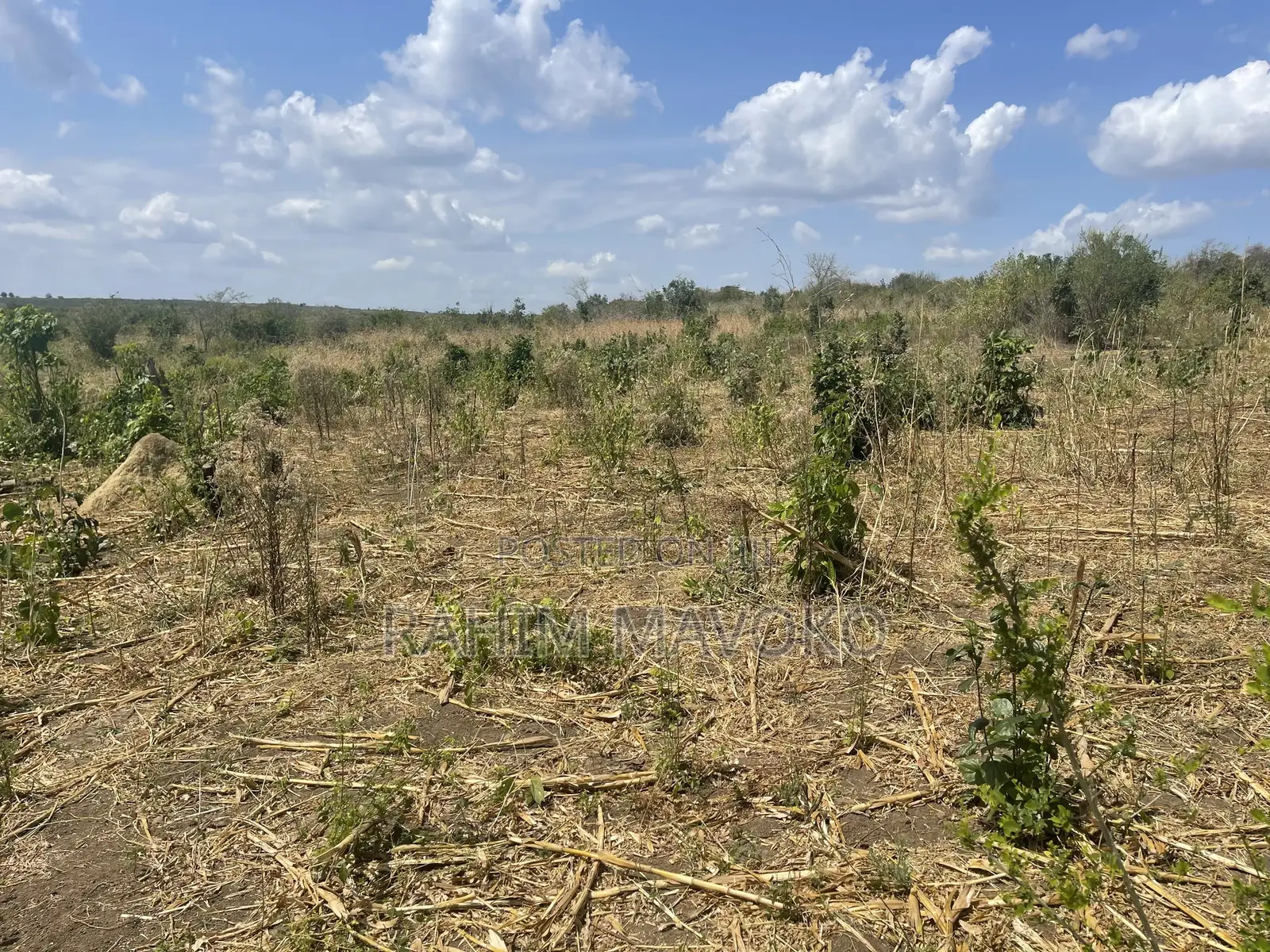 Shamba Linauzwa Kiwangwa Bago Eka 70