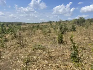 Shamba Linauzwa Kiwangwa Bago Eka 70