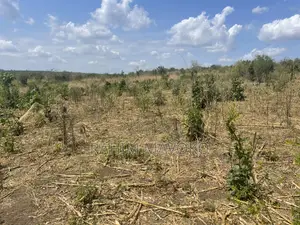 Shamba Linauzwa Kiwangwa Bago Eka 70