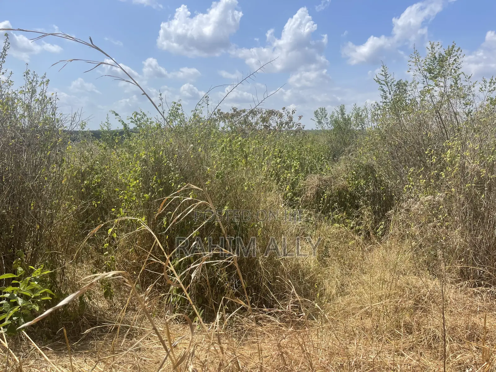 Shamba Linauzwa Kiwangwa Bago Eka 70