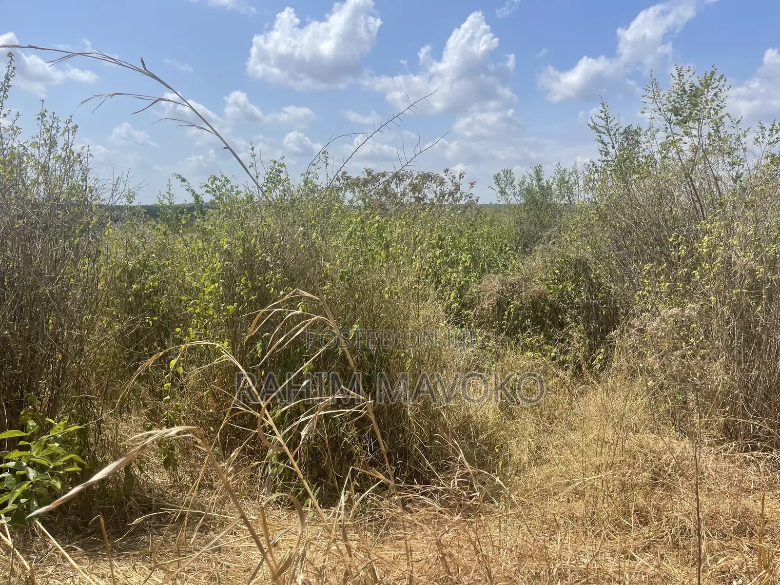 Shamba Linauzwa Kiwangwa Bago Eka 70