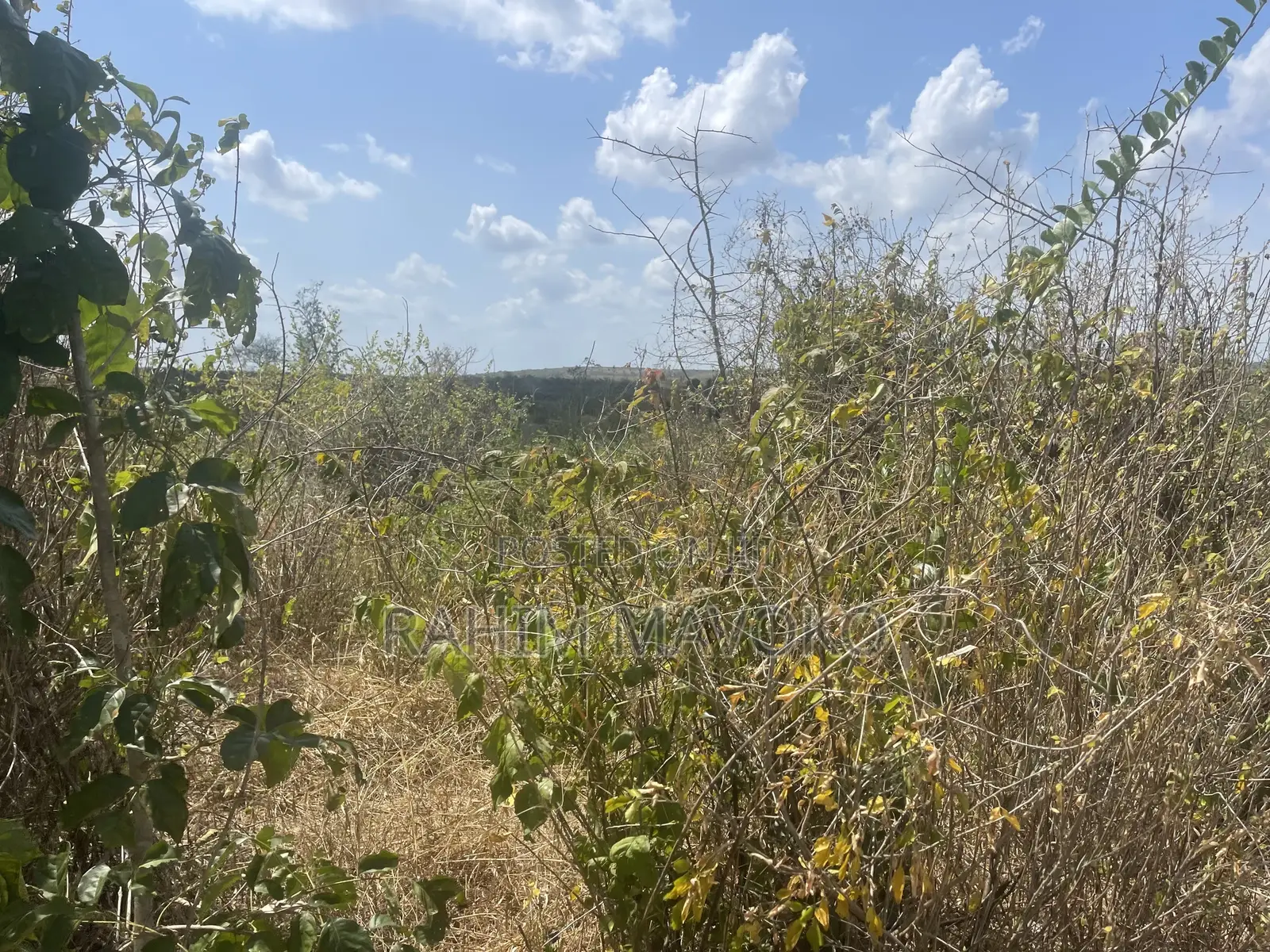 Shamba Linauzwa Kiwangwa Bago Eka 70