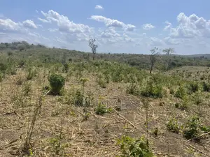 Shamba Linauzwa Kiwangwa Bago Eka 70