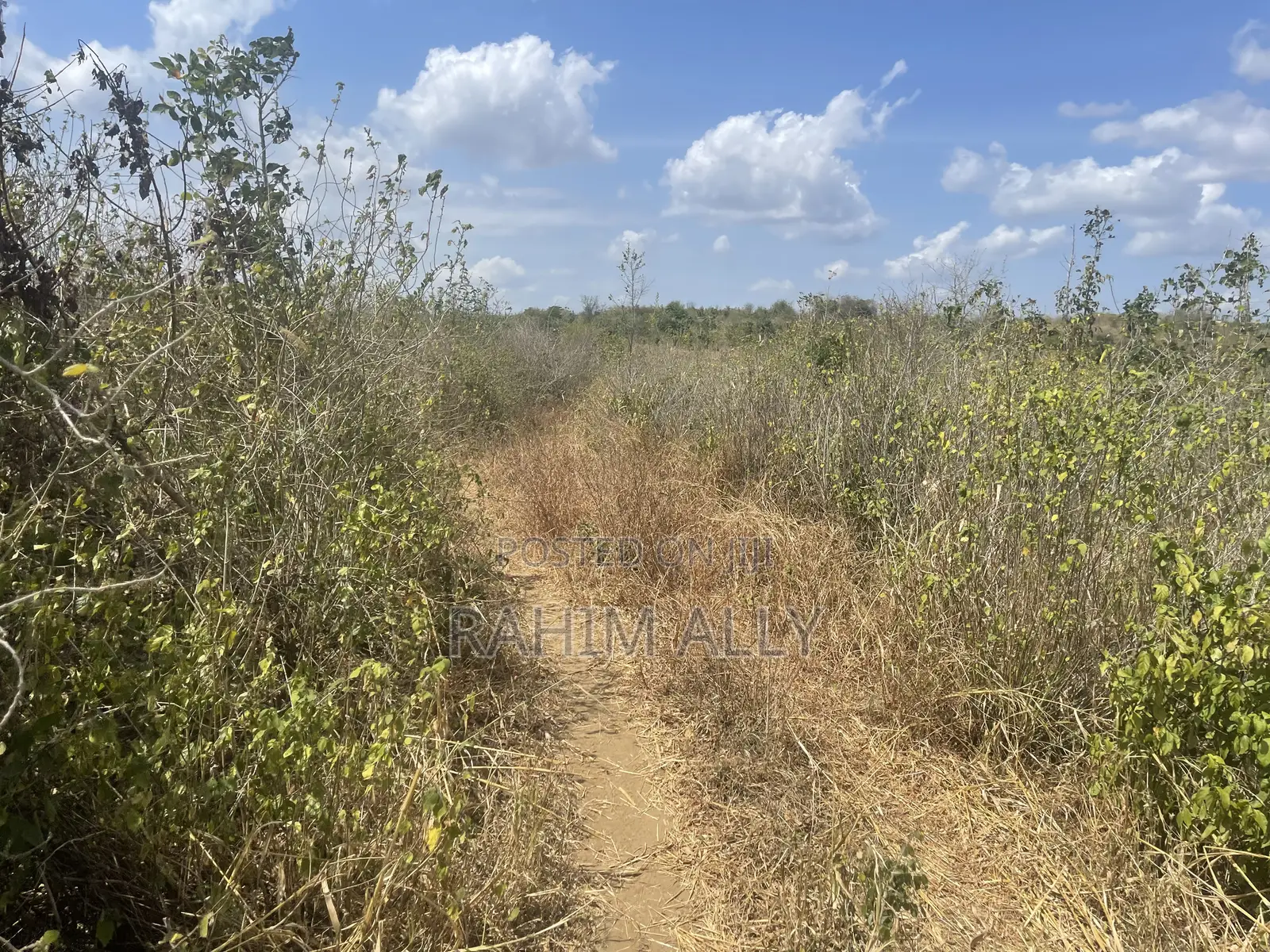 Shamba Linauzwa Kiwangwa Bago Eka 70