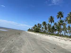 Beach Plort Inauzwa Tanga Eka 16