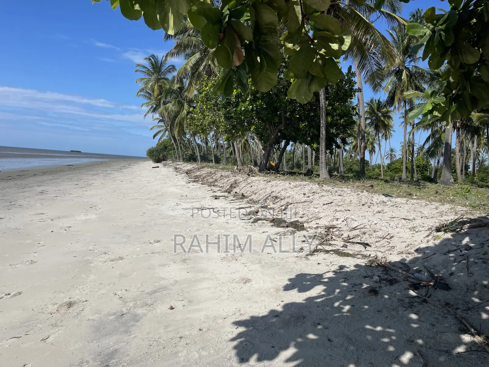 Beach Plort Inauzwa Tanga Eka 16