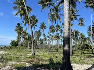Beach Plort Inauzwa Tanga Eka 16