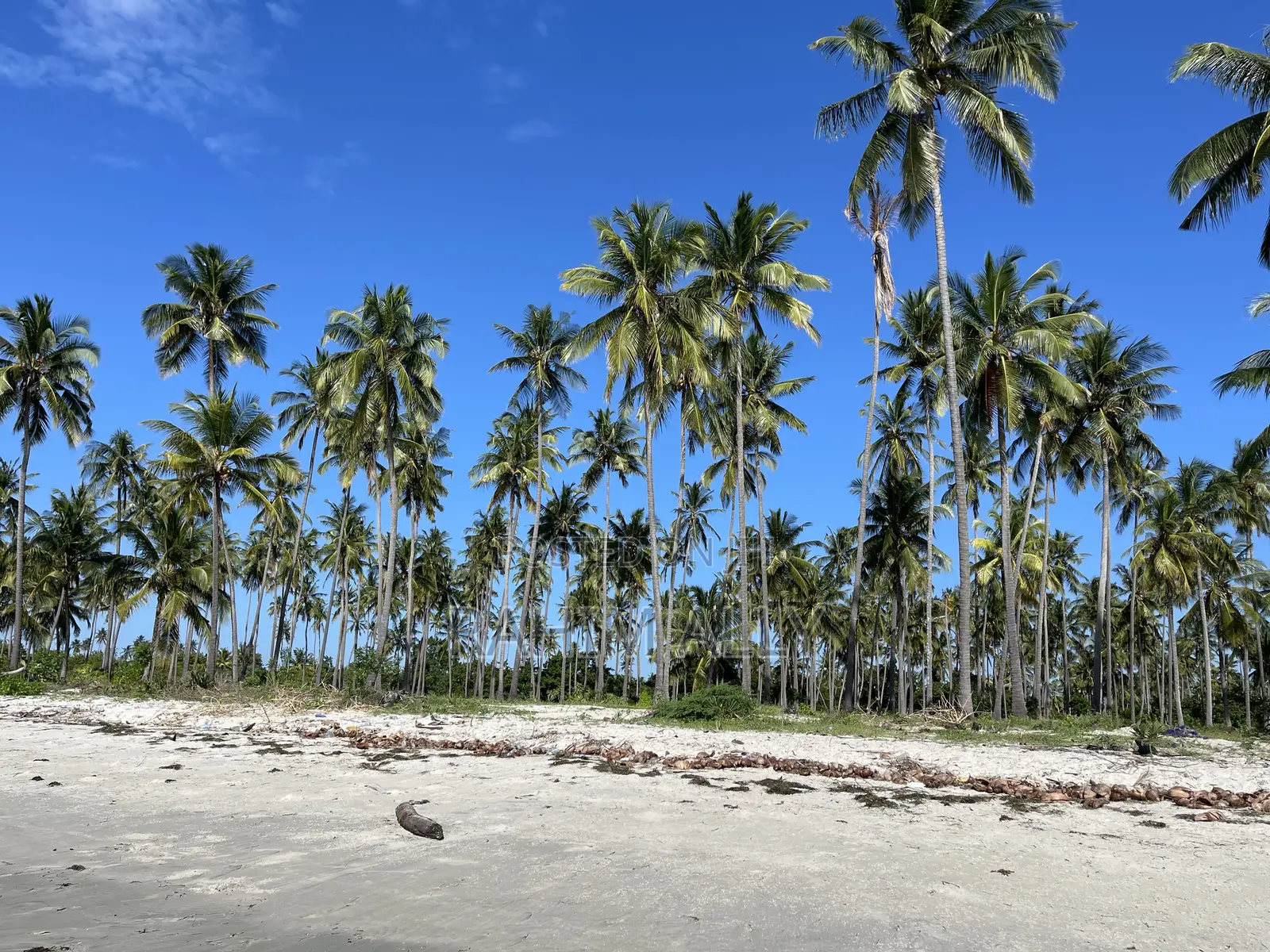 Beach Plort Inauzwa Tanga Eka 16
